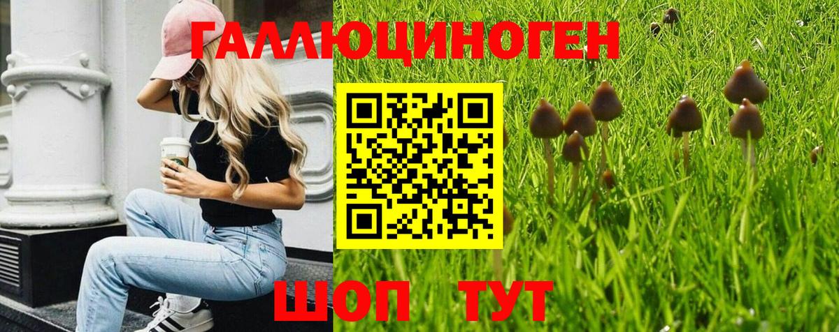 Псилоцибиновые грибы мицелий Скопин